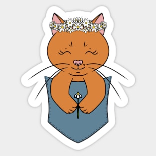 Cute Cat in a Pocket with Chamomile Sticker